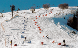 snowboard alpin